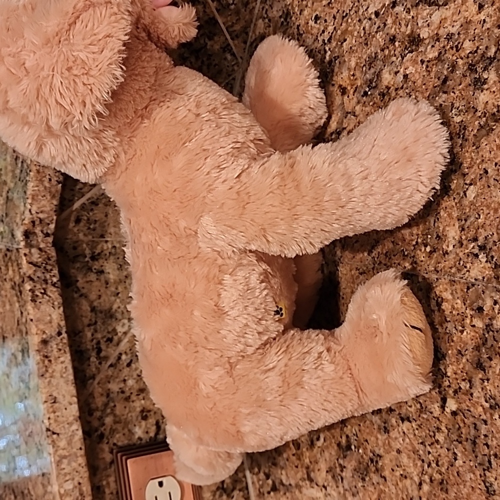Build-A-Bear Yellow Lab - Picture 3 of 6